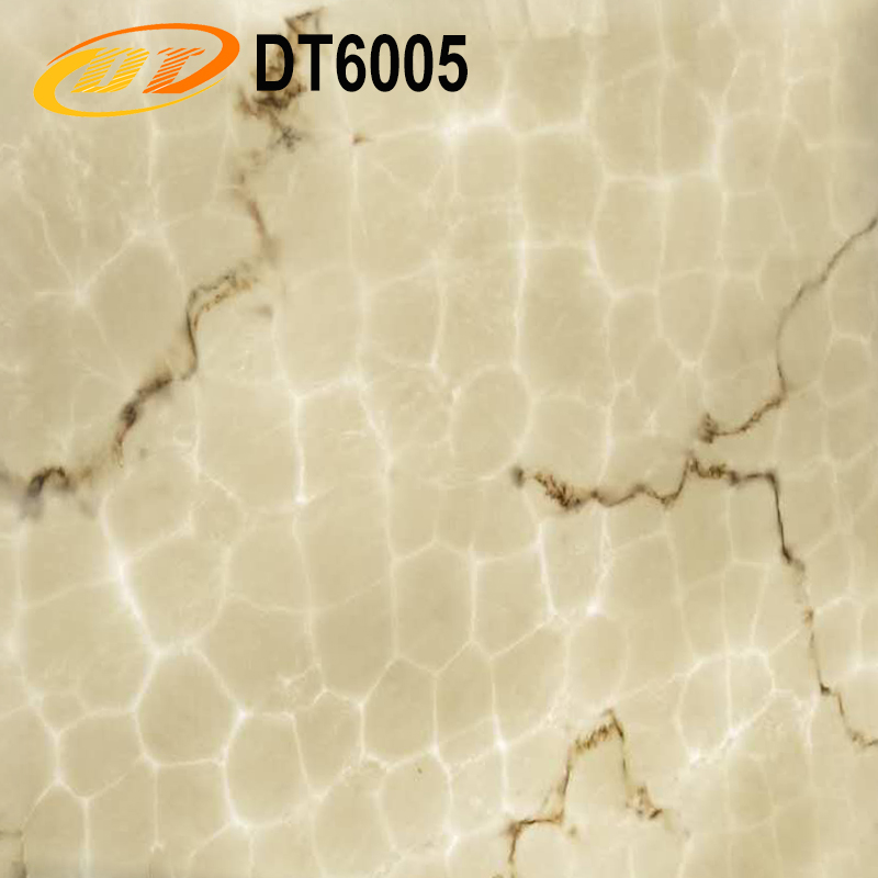 DT6005